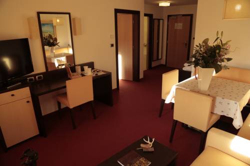 Imagen de la habitación del Hotel Sporthotel Monte Pana. Foto 7