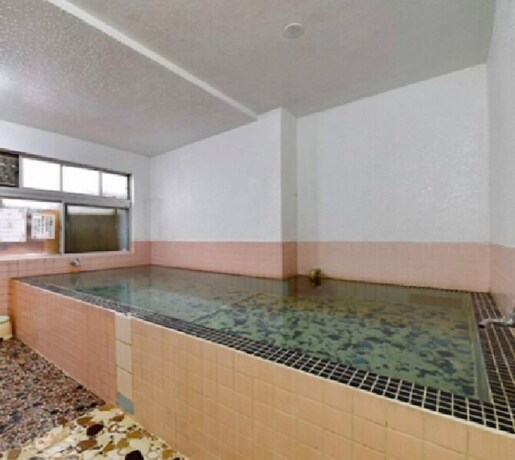 Imagen general del Hotel Sports Plaza Hakuto. Foto 3