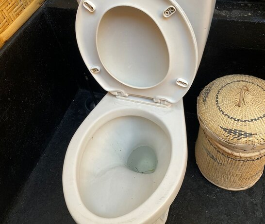 Imagen general del Hotel Spot On 93451 Bale Kertiasih. Foto 5