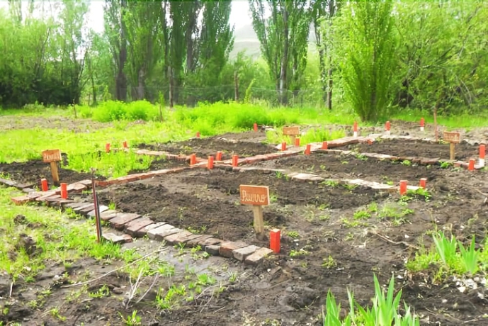 Imagen de los exteriores del Hotel Spring Creek Lodge. Foto 13