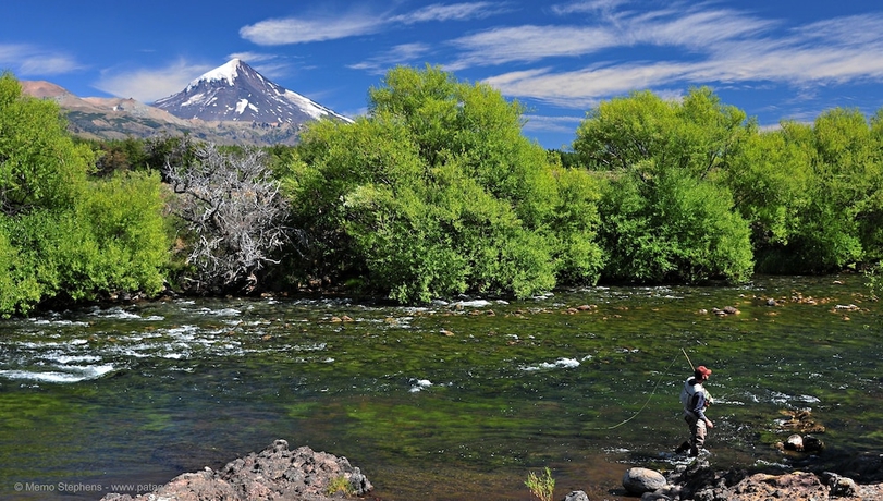 Imagen de los exteriores del Hotel Spring Creek Lodge. Foto 15