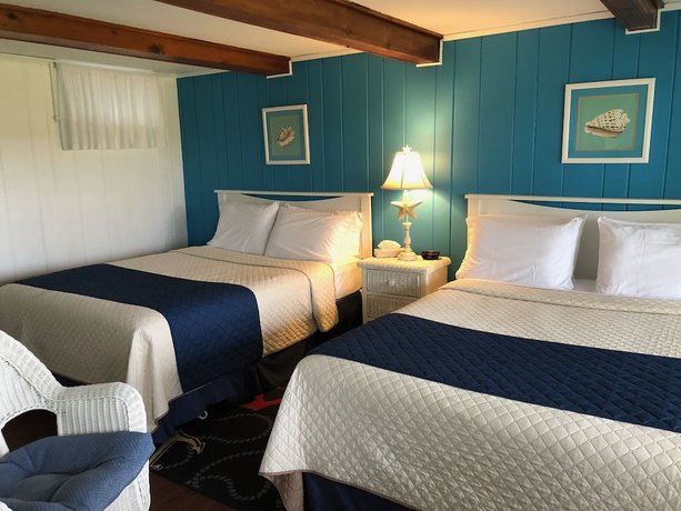 Imagen de la habitación del Hotel Spring Garden Inn. Foto 9