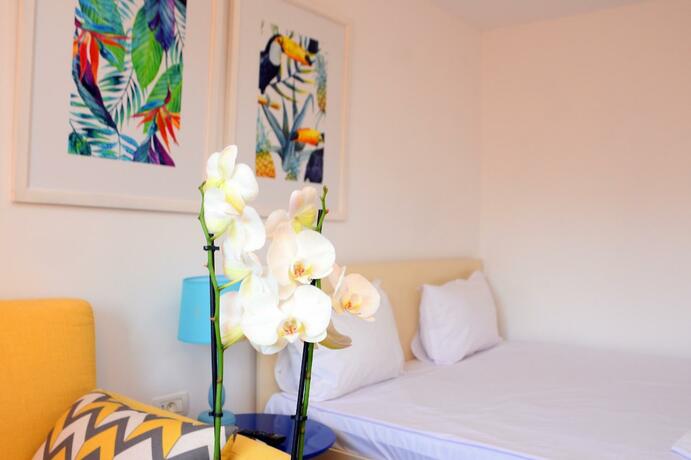 Imagen general del Hotel Spring Holiday Resort. Foto 2