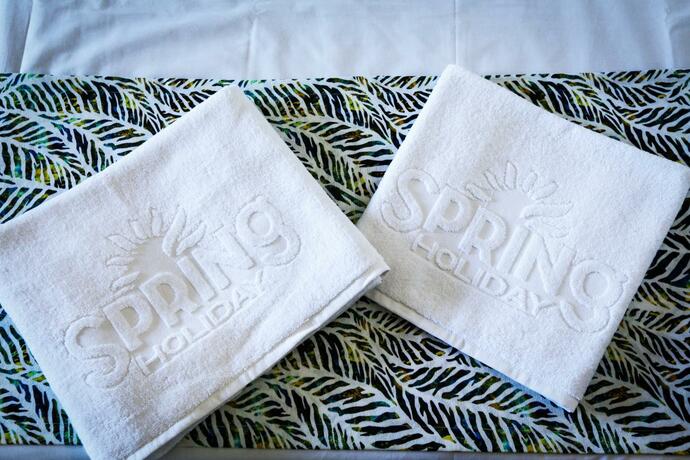 Imagen general del Hotel Spring Holiday Resort. Foto 42