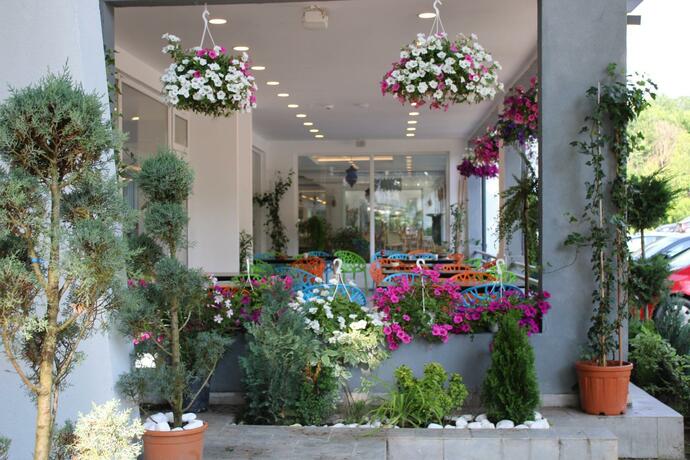 Imagen general del Hotel Spring Holiday Resort. Foto 64