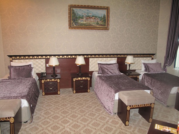 Imagen de la habitación del Hotel Spring Hotel and Spa. Foto 7