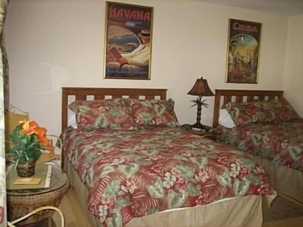 Imagen general del Hotel Spring Motor Inn. Foto 16