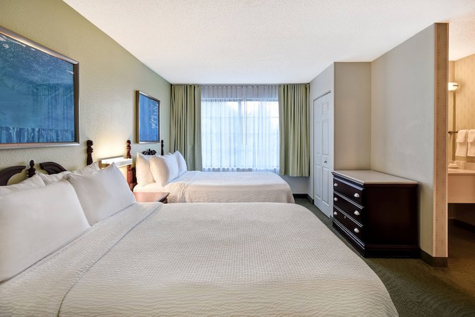 Imagen de la habitación del Hotel SpringHill Suites Atlanta Buford/Mall of Georgia. Foto 6