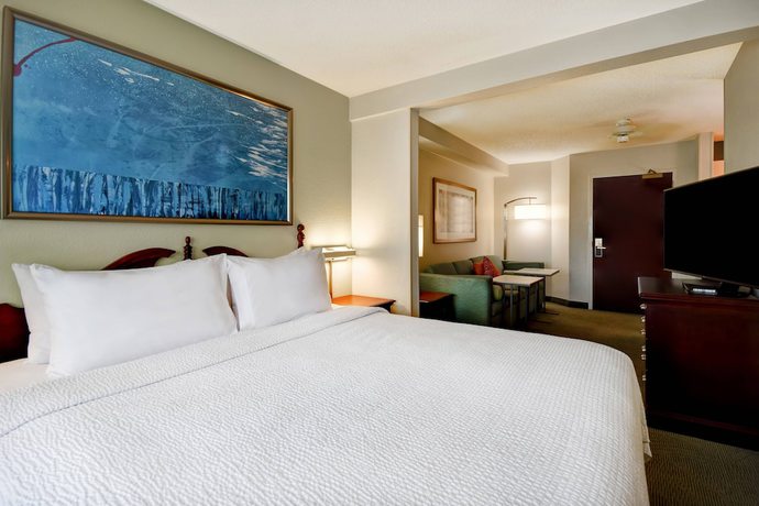 Imagen de la habitación del Hotel SpringHill Suites Atlanta Buford/Mall of Georgia. Foto 10