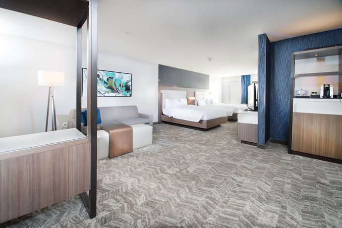 Imagen de la habitación del Hotel SpringHill Suites Fayetteville Fort Liberty. Foto 3