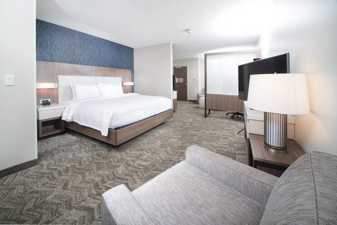 Imagen de la habitación del Hotel SpringHill Suites Fayetteville Fort Liberty. Foto 5