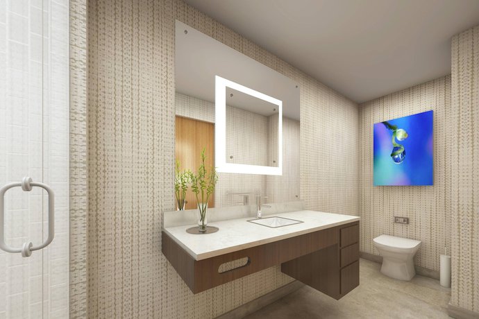 Imagen de la habitación del Hotel SpringHill Suites Fayetteville Fort Liberty. Foto 14