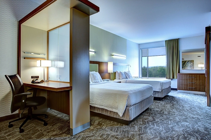 Imagen de la habitación del Hotel SpringHill Suites Harrisburg Hershey. Foto 11