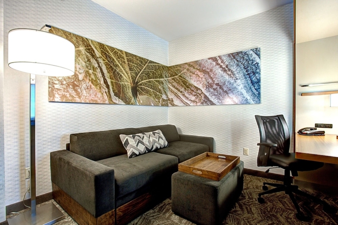 Imagen de la habitación del Hotel SpringHill Suites Harrisburg Hershey. Foto 12