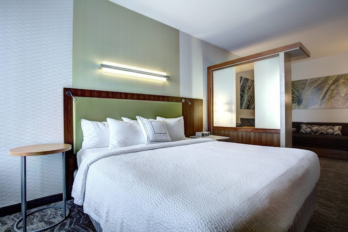 Imagen de la habitación del Hotel SpringHill Suites Harrisburg Hershey. Foto 14