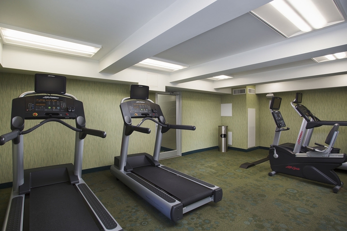 Imagen de los interiores del Hotel SpringHill Suites Houston Downtown/Convention Center. Foto 15