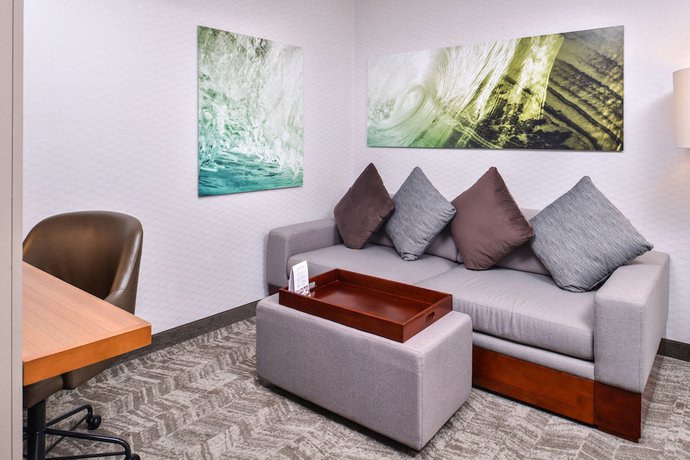 Imagen de la habitación del Hotel SpringHill Suites Temecula Valley Wine Country. Foto 9