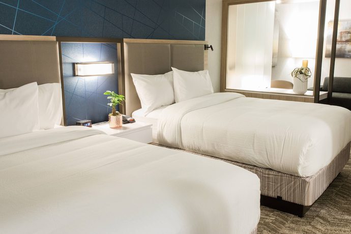 Imagen de la habitación del Hotel SpringHill Suites by Marriott Birmingham Gardendale. Foto 9