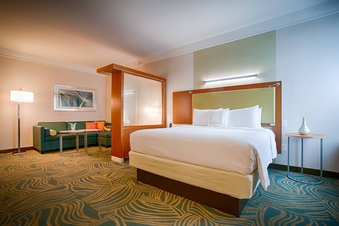 Imagen de la habitación del Hotel SpringHill Suites by Marriott Canton. Foto 5