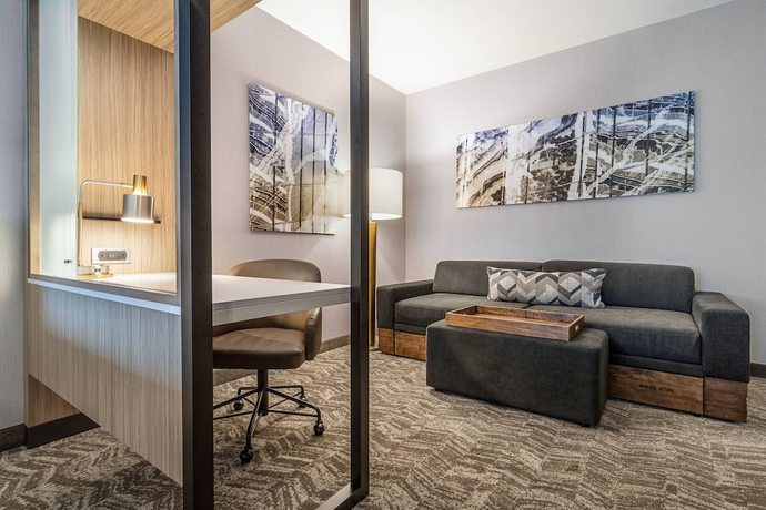 Imagen de la habitación del Hotel SpringHill Suites by Marriott Charleston Airport and Convention Center. Foto 3