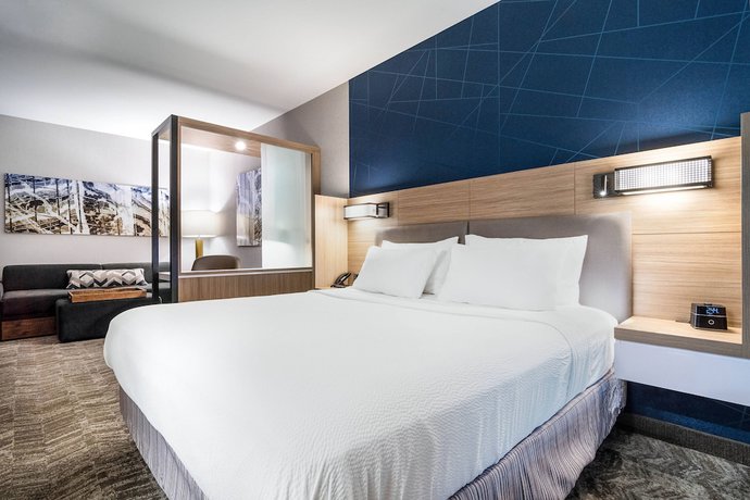 Imagen de la habitación del Hotel SpringHill Suites by Marriott Charleston Airport and Convention Center. Foto 7
