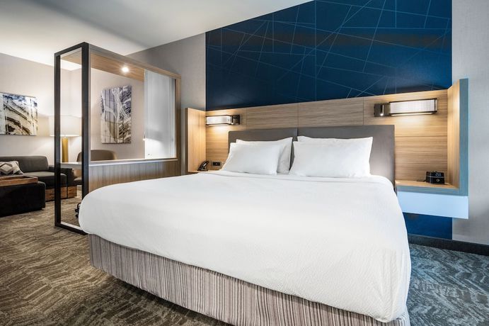 Imagen de la habitación del Hotel SpringHill Suites by Marriott Charleston Airport and Convention Center. Foto 11