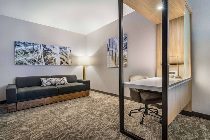 Imagen de la habitación del Hotel SpringHill Suites by Marriott Charleston Airport and Convention Center. Foto 12