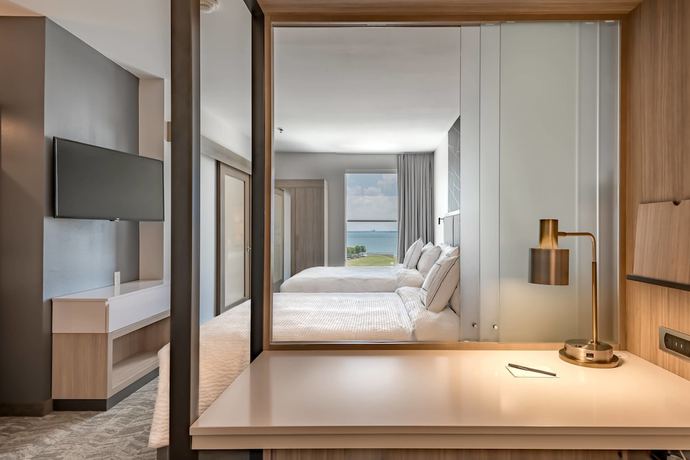 Imagen de la habitación del Hotel SpringHill Suites by Marriott Dallas Rockwall. Foto 8