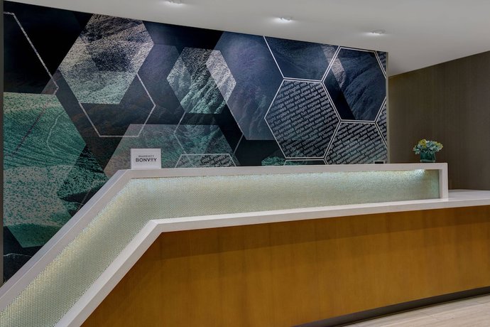 Imagen de los interiores del Hotel SpringHill Suites by Marriott Franklin Cool Springs. Foto 20