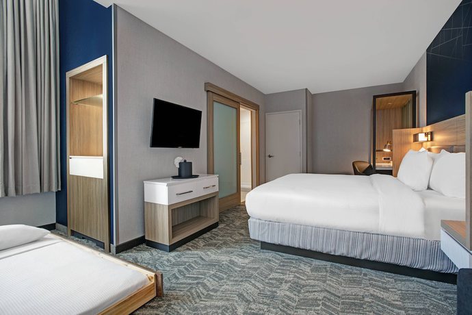 Imagen de la habitación del Hotel SpringHill Suites by Marriott Franklin Cool Springs. Foto 6