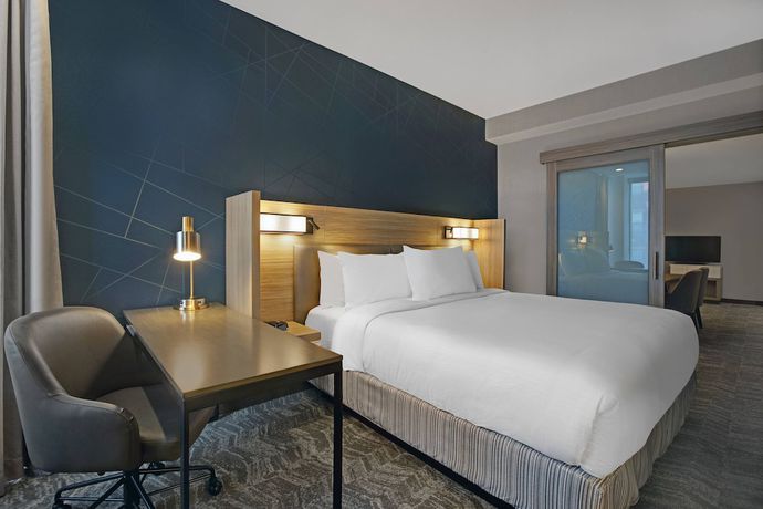 Imagen de la habitación del Hotel SpringHill Suites by Marriott Franklin Cool Springs. Foto 8