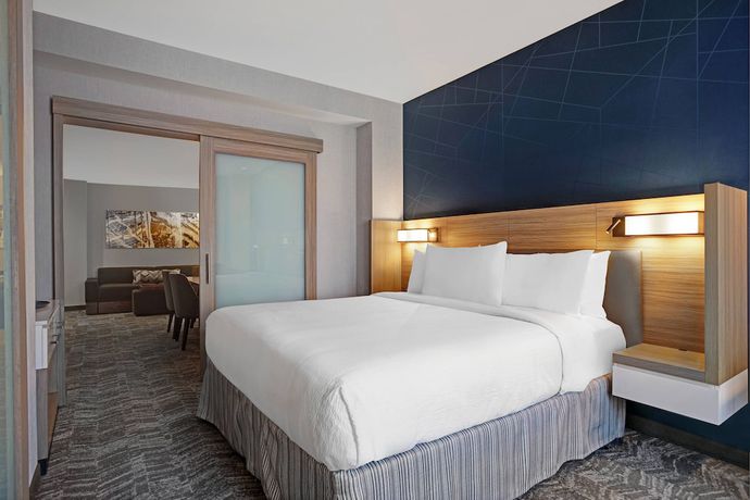 Imagen de la habitación del Hotel SpringHill Suites by Marriott Franklin Cool Springs. Foto 11