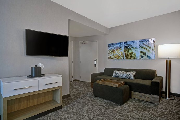Imagen de la habitación del Hotel SpringHill Suites by Marriott Franklin Cool Springs. Foto 12