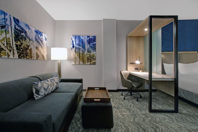 Imagen de la habitación del Hotel SpringHill Suites by Marriott Franklin Cool Springs. Foto 17