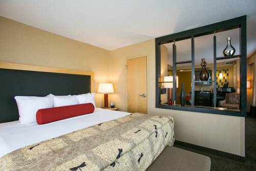 Imagen de la habitación del Hotel SpringHill Suites by Marriott Indianapolis Airport/Plainfield. Foto 5
