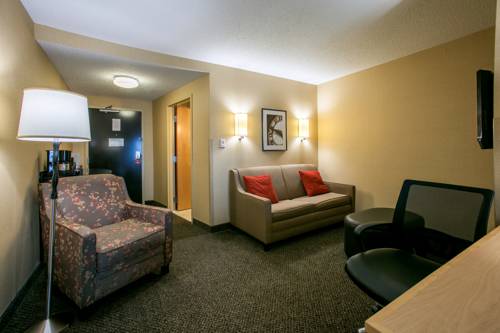 Imagen de la habitación del Hotel SpringHill Suites by Marriott Indianapolis Airport/Plainfield. Foto 7