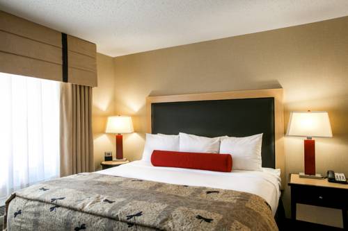 Imagen de la habitación del Hotel SpringHill Suites by Marriott Indianapolis Airport/Plainfield. Foto 10