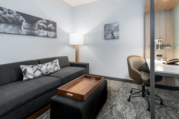 Imagen de la habitación del Hotel SpringHill Suites by Marriott Indianapolis Westfield. Foto 6