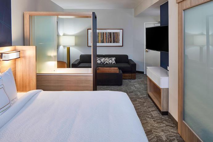 Imagen de la habitación del Hotel SpringHill Suites by Marriott Nashville Downtown/Convention Center. Foto 3