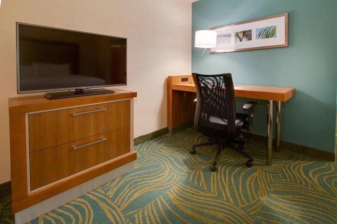 Imagen de la habitación del Hotel SpringHill Suites by Marriott Orlando Lake Buena Vista South. Foto 7