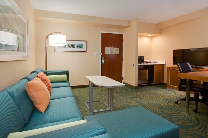 Imagen de la habitación del Hotel SpringHill Suites by Marriott Orlando Lake Buena Vista South. Foto 10
