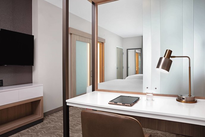 Imagen de la habitación del Hotel SpringHill Suites by Marriott Orlando Theme Parks/Lake Buena Vista. Foto 8