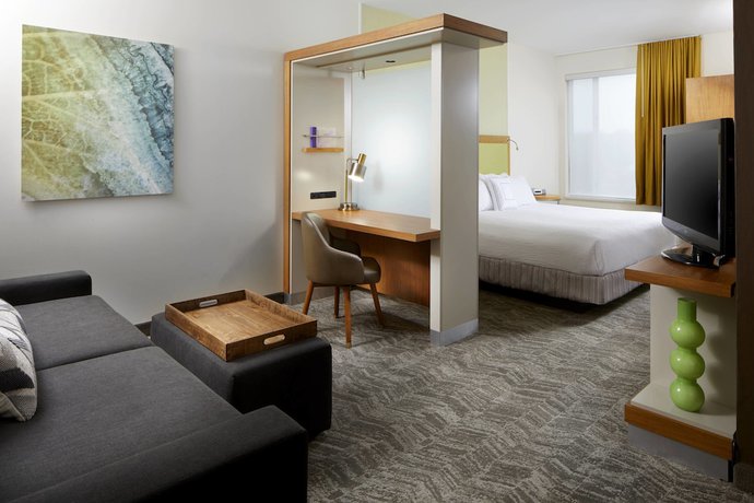 Imagen de la habitación del Hotel SpringHill Suites by Marriott Pittsburgh Bakery Square. Foto 8