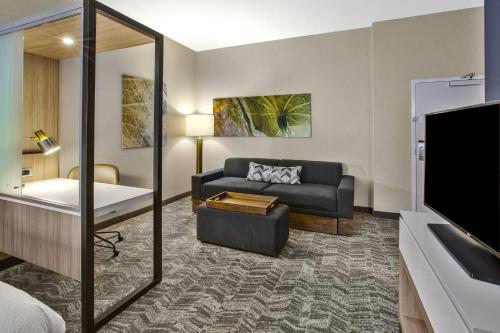 Imagen de la habitación del Hotel SpringHill Suites by Marriott Pittsburgh Butler/Centre City. Foto 18