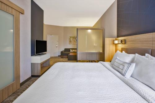 Imagen de la habitación del Hotel SpringHill Suites by Marriott Pittsburgh Butler/Centre City. Foto 20