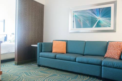 Imagen de la habitación del Hotel SpringHill Suites by Marriott Pittsburgh Monroeville. Foto 8