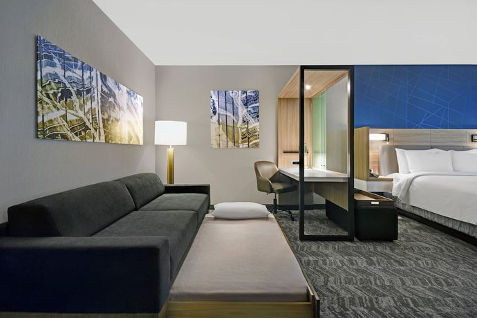 Imagen de la habitación del Hotel SpringHill Suites by Marriott St. Paul Arden Hills. Foto 6