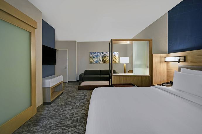 Imagen de la habitación del Hotel SpringHill Suites by Marriott St. Paul Arden Hills. Foto 8