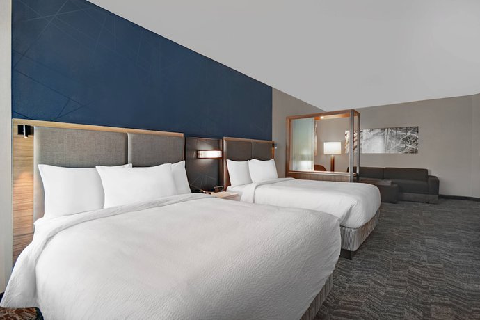 Imagen de la habitación del Hotel SpringHill Suites by Marriott St. Paul Arden Hills. Foto 9