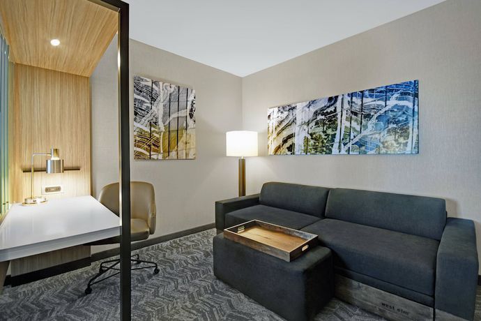 Imagen de la habitación del Hotel SpringHill Suites by Marriott St. Paul Arden Hills. Foto 11